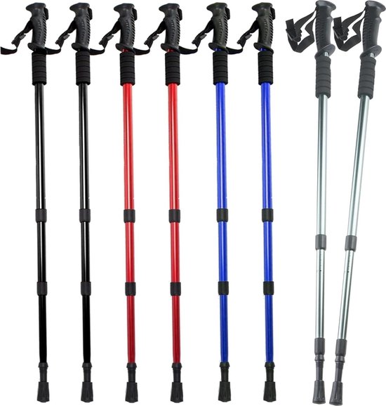 KADVA Raylan Nordic Walking-stokken