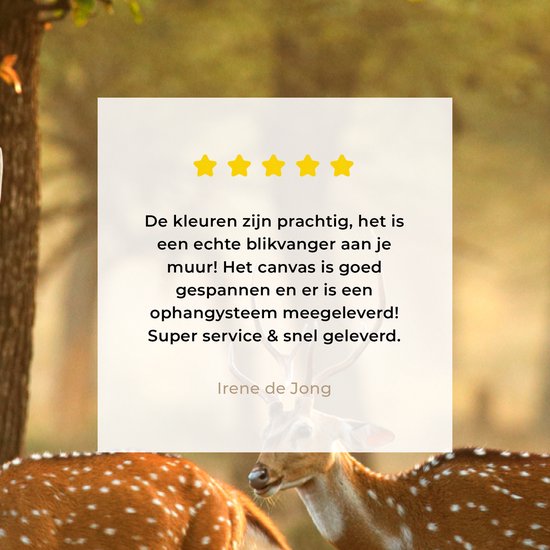Peinture sur toile 80x120 cm - Décoration murale Cerf - Forêt - Automne - Animaux de la forêt - Nature - Cerf - Décoration murale murale salon - Décoration chambre - Accessoires de chambre - Peintures