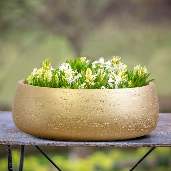 Olly & Rose Matzwarte Keramische Plantenbak voor Thuisdecor - Ondiepe