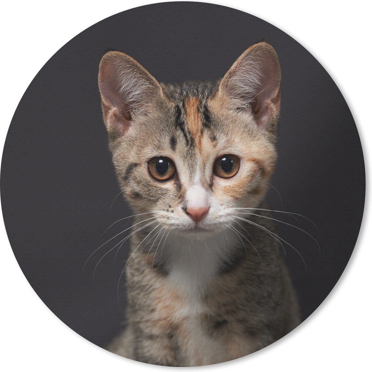 Muismat rond 50x50 cm - Mousepad Kat - Zwart - Portret - Ronde muismatten