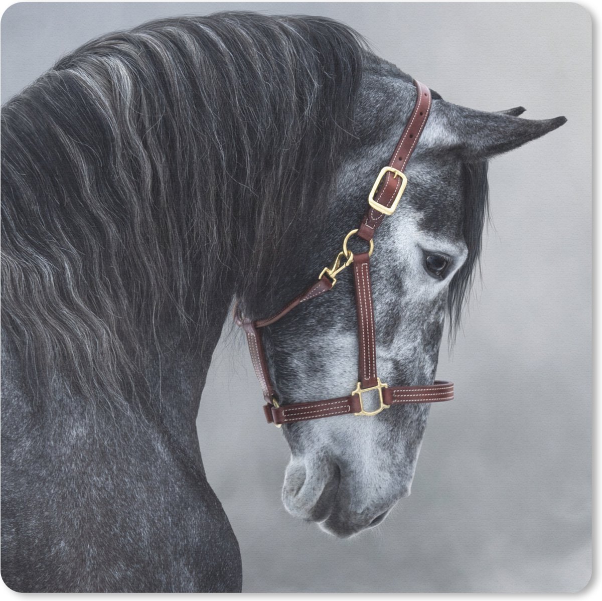 Muismat 30x30 cm - Mousepad Paard - Grijs - Bruin - Dieren - Rook - Muismatten