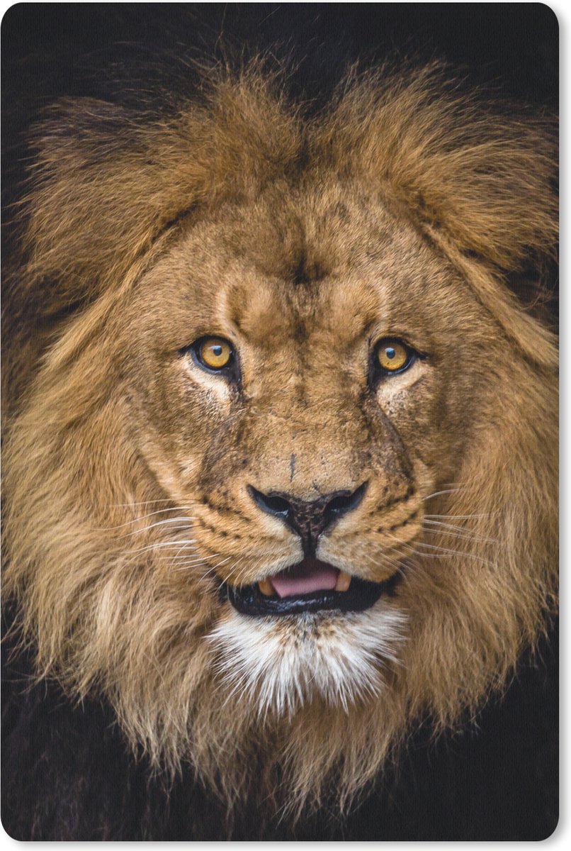 Muismat 18x27 cm - Mousepad Leeuw - Portret - Zwart - Dieren - Muismatten