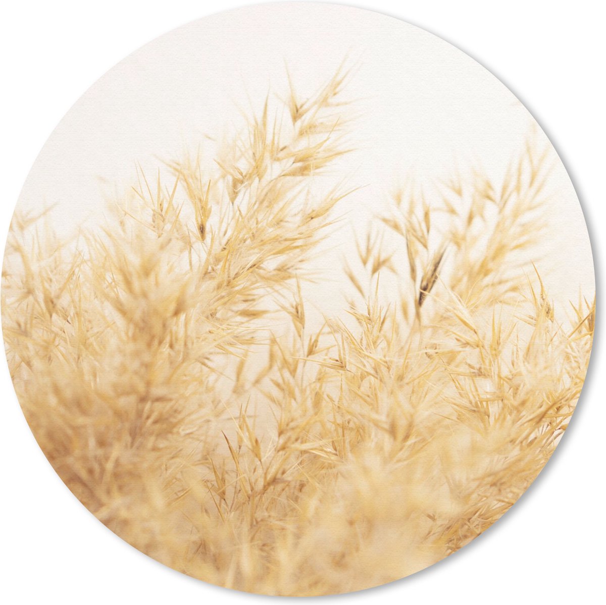 Muismat rond 40x40 cm - Mousepad Pampasgras - Zon - Gras - Ronde muismatten