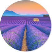 Muismat - Mousepad - Rond - Lavendel - Paars - Bloemen - 50x50 cm - Ronde muismat