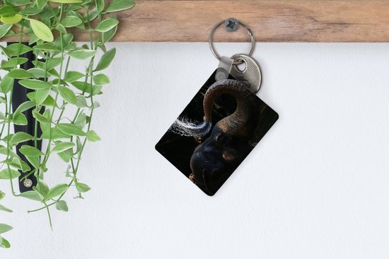 Porte-clés - Éléphant - Water - Trompe - Animaux - Nature - Cadeaux - Plastique