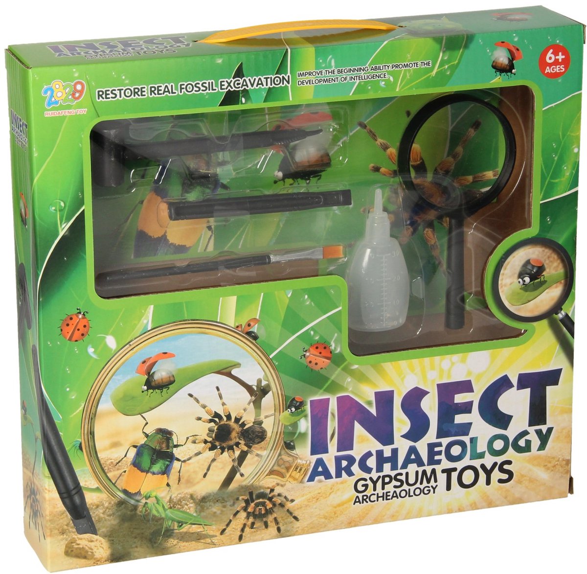 Insecten Archeologie