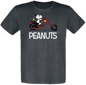 T-shirt Peanuts Snoopy - Biker - Rocker - Woodstock multicolore L