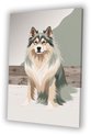 Hond, Digital Art, Groen, beige, grijs, wit, bruin