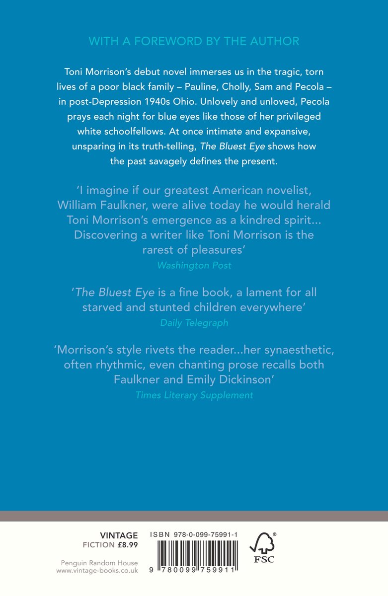 Achterkant van het boek 'The Bluest Eye' van Toni Morrison, met recensies en ISBN-nummer.