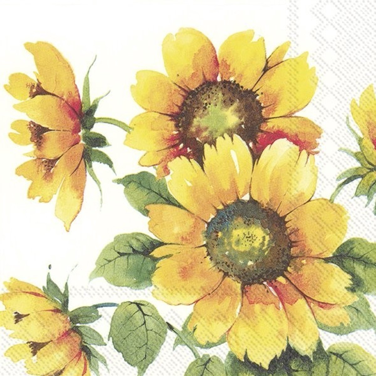 IHR - Lunch servetten - Colourful Sunflowers