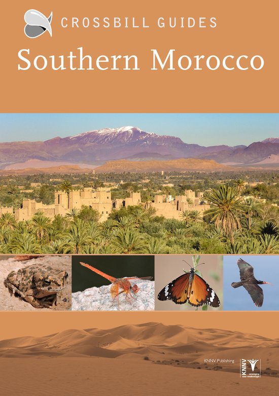 Crossbill guides 33 - Crossbill Guide Southern Morocco