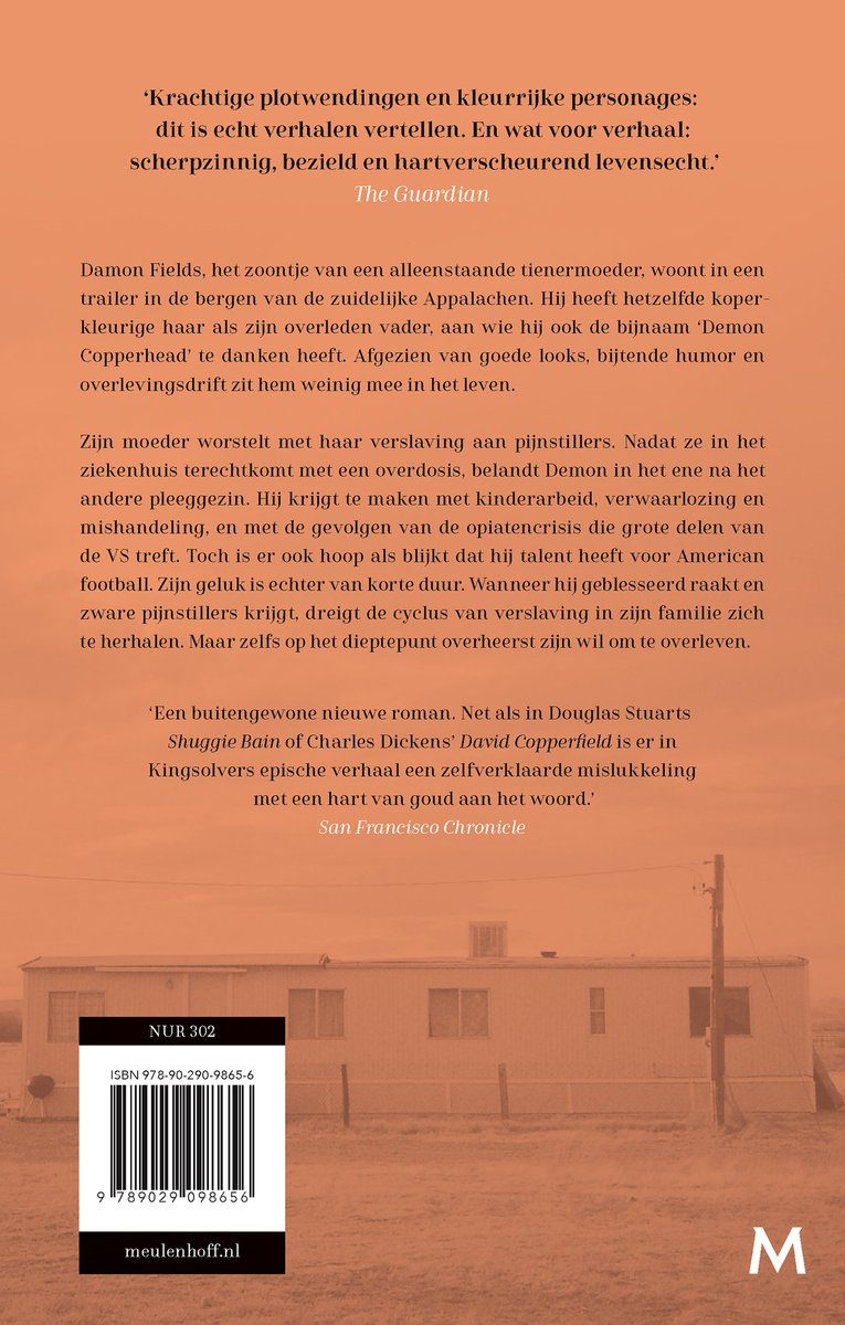 Demon Copperhead - back cover