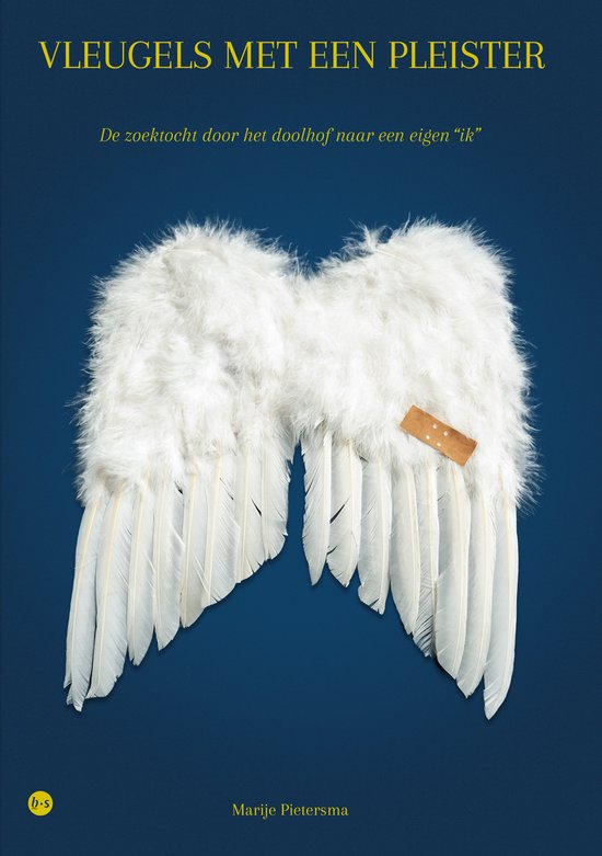 Vleugels met een pleister - cover
