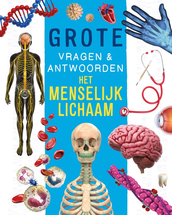 Het menselijk lichaam - Grote vragen & antwoorden - cover