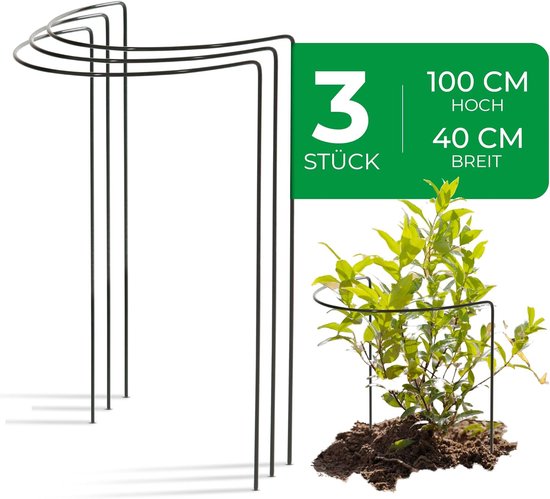 Laagblijvende vaste planten kopen? | Korting tot 36