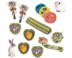 16 Stuks Natuurlijk Timothy Hooi Kauwspeeltjes voor Konijnen - Verbeter de Tandgezondheid voor Konijn/Chinchilla/Cavia/Hamsters/Holland Hangoor - Traktaties voor Cavia's