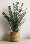 Plante artificielle d'eucalyptus dans un panier tressé avec des poignées, posée sur une table en bois avec un fond clair.