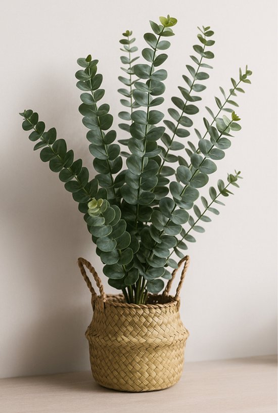 Plante artificielle d'eucalyptus dans un panier tressé avec des poignées, posée sur une table en bois avec un fond clair.