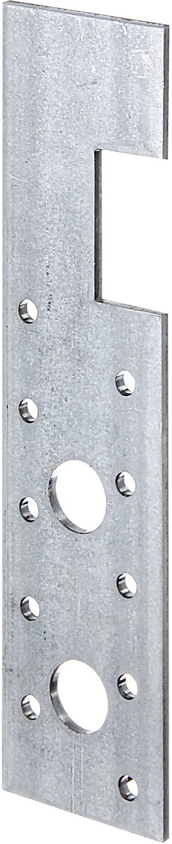 Alberts 50x HE ankers, sendzimir verzinkt, 40x160x30 mm of 55x180x30 mm