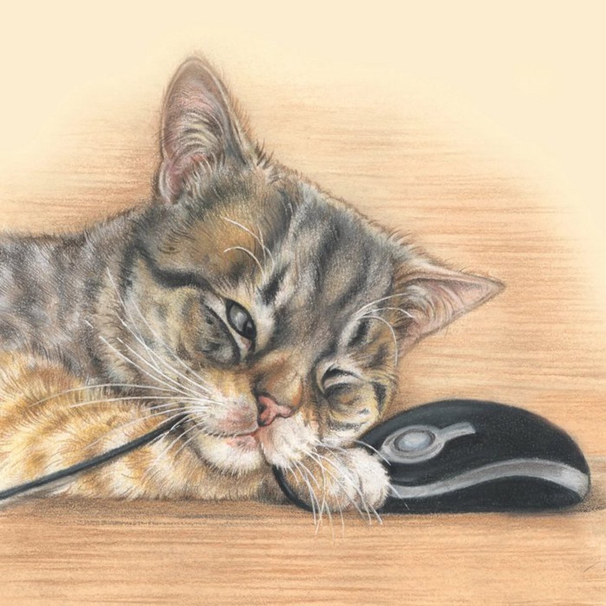 Katdootje - Kaart - Spelen met de muis