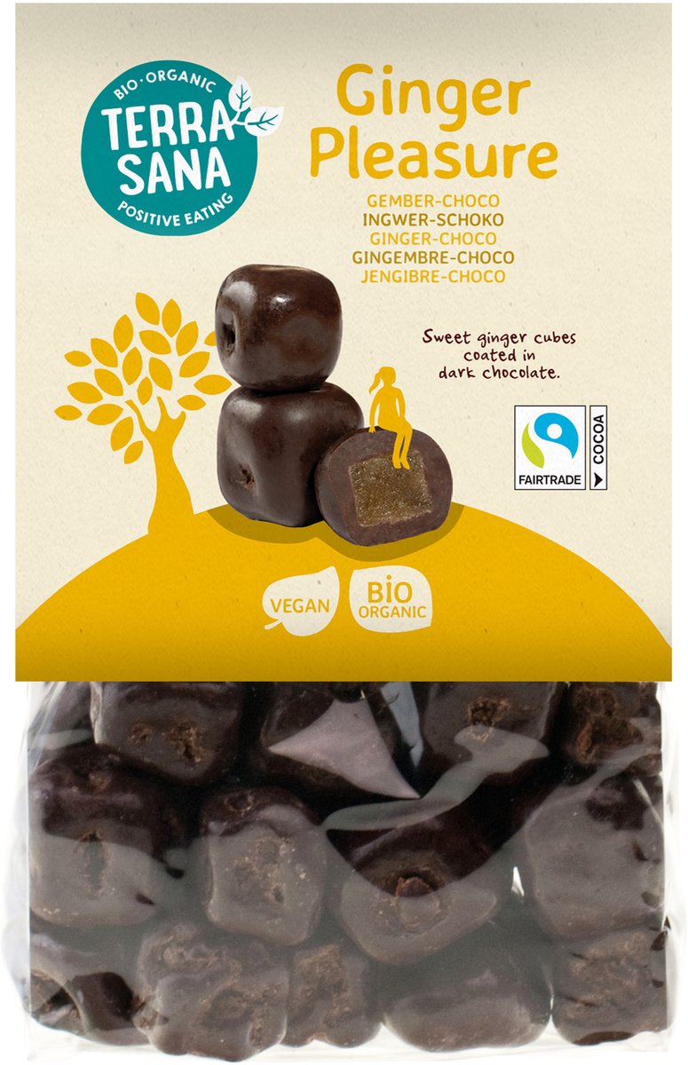 TerraSana Ginger pleasure choco bio 150 Gram