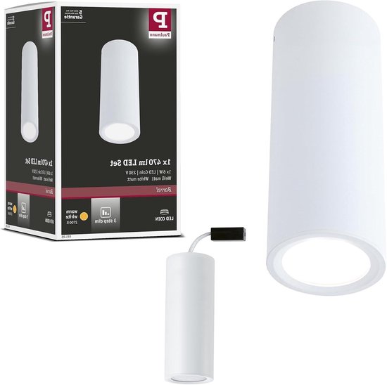 Plafonnier LED Paulmann Barrel 6W 470lm - Blanc Chaud 2700K - Gradable 3 Niveaux - Angle 100°