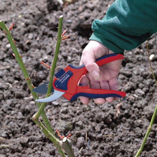 Bypass and Anvil Secateur Set with Razorsharp Blades van Spear & Jackson — afbeelding 3