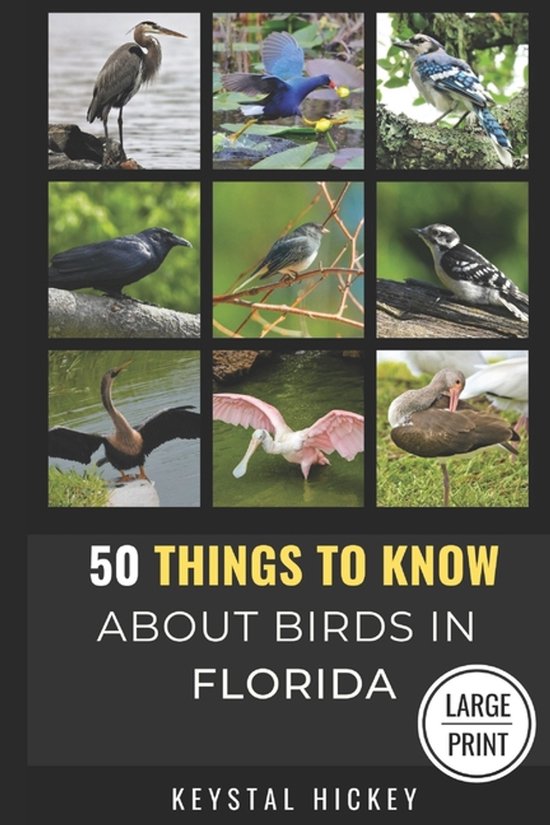 50 Things to Know about Birds - Large Print- 50 Things to Know About Birds in Florida