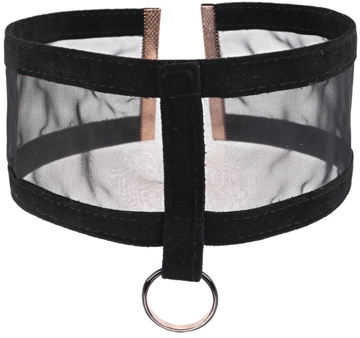 Sportsheets Sex en Mischief Sheer Day halsband - Zwart