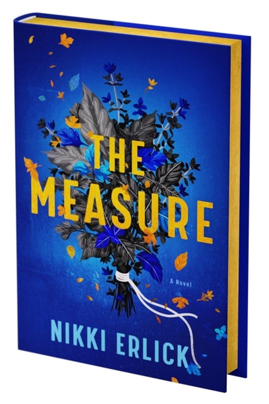 The Measure Deluxe Collector's Edition - cover