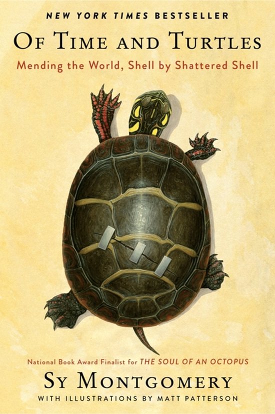 Of Time And Turtles - cover