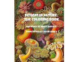 Designs in Nature
