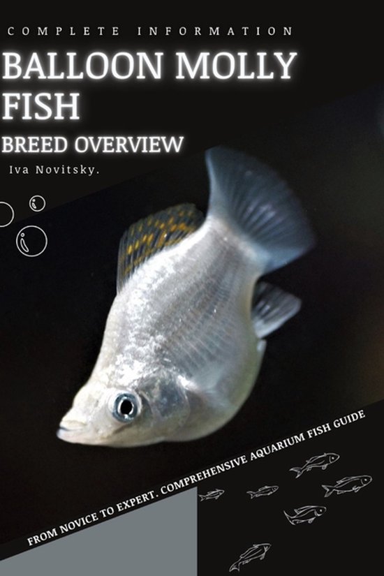 Balloon Molly Fish