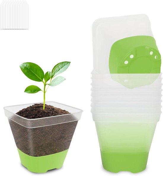 Plantawa Liquide pour torches et quinqués 1 litre