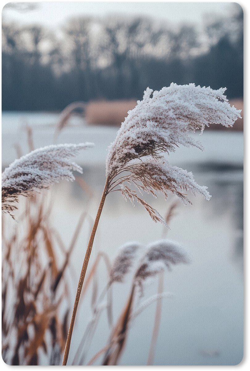 Muismat 18x27 cm - Mousepad Riet - Gras - Natuur - Winter - Meer - Muismatten