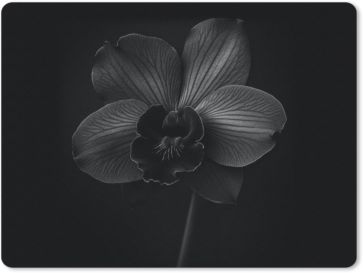 Muismat 23x19 cm - Mousepad Zwart - Bloem - Orchidee - Muismatten