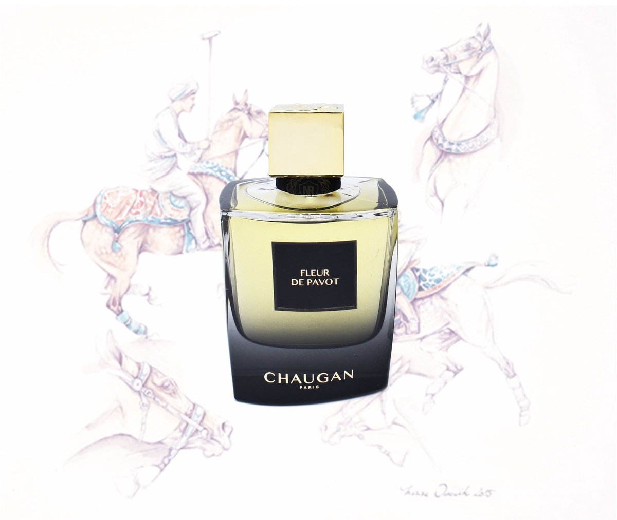 Goedkoopste Chaugan Fleur De Pavot by Chaugan 100 ml - Eau De Parfum Spray