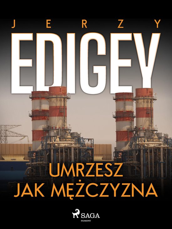 Umrzesz jak mężczyzna - cover