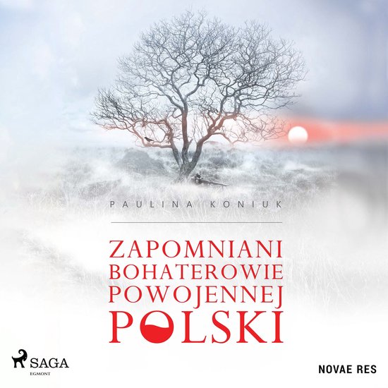 Zapomniani bohaterowie powojennej Polski - cover