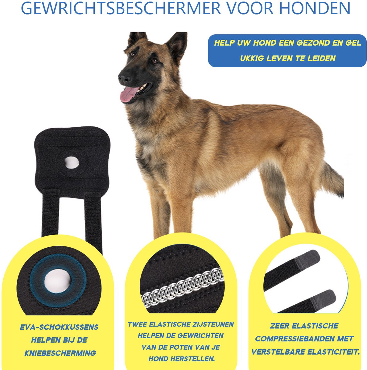 Hond Achterpoten Beschermer, Verstelbare Kniebrace Beensteun Honden Spronggewricht Brace Achterpoot Gewrichtsband Beschermt Voor Honden Achterpoten Herstellen(M -Zwart