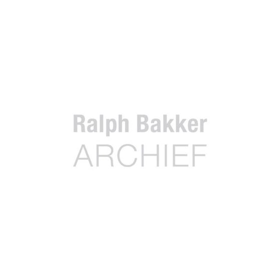 Cover van het boek 'Ralph Bakker Archief' van L. den Besten