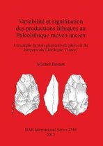 Variabilite Et Signification Des Productions Lithiques Au Paleolithique Moyen Ancien