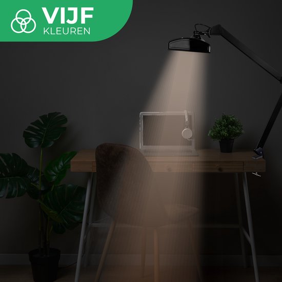 Zwarte bureaulamp verlicht een bureau met laptop en planten.