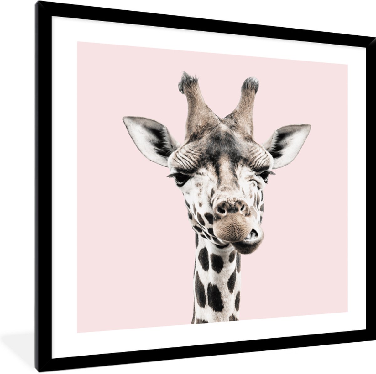 FrameYourWall Fotolijst met poster 40x40 - Giraf - Wilde dieren - Roze - Portret - Fotokader van hout - Kaders en lijsten - Houten fotolijstje - Wissellijst voor muurposter - Picture en photo frame - Posterlijst - Fotohouder Giraf - 40x40 cm
