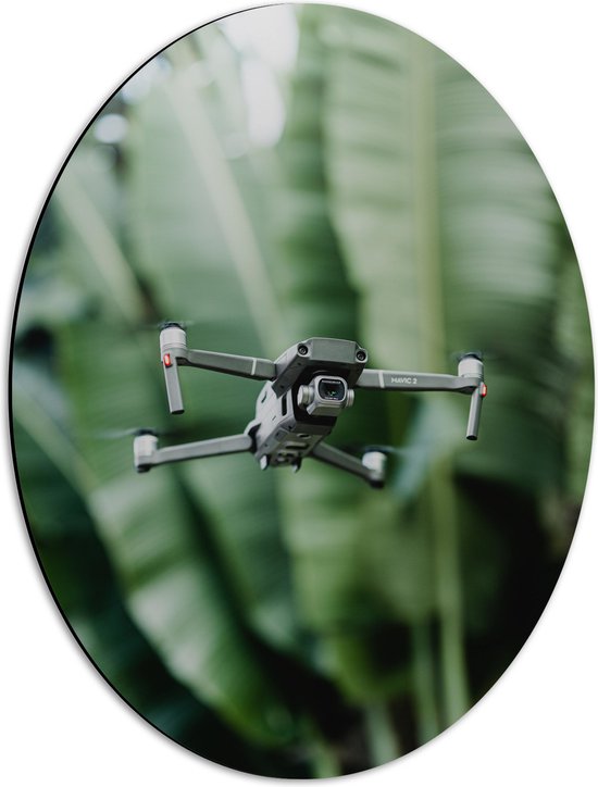 Dibond Ovaal - Drone Vliegend tussen de Groene Palmbladeren - 42x56 cm Foto op Ovaal (Met Ophangsysteem)