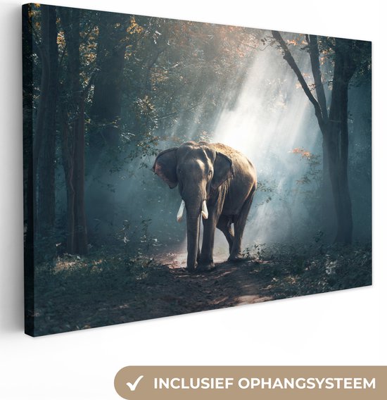 OneMillionCanvasses