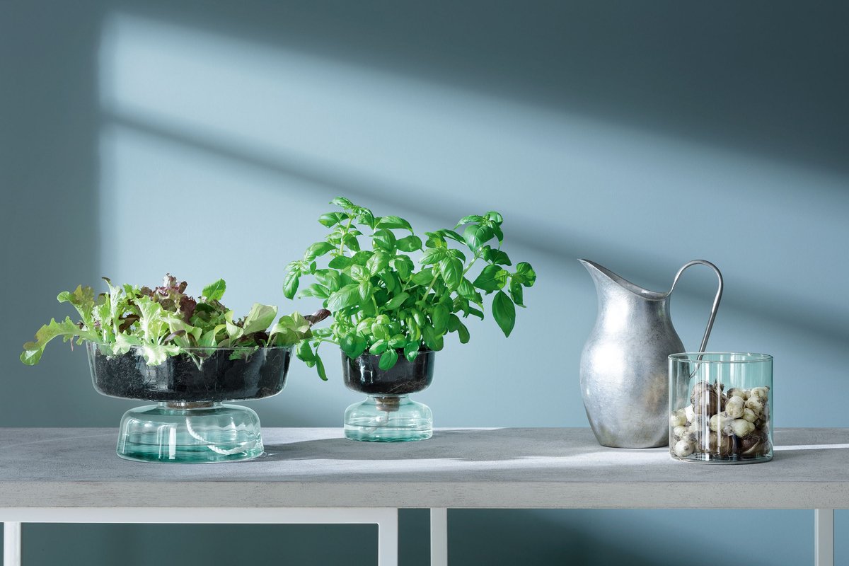 L.S.A. - Canopy Vaas met Bewateringsysteem 14,5 cm - Gerecycled Glas - Transparant