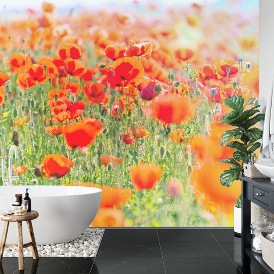 Beterschapskaart met rode klaprozen bloemen