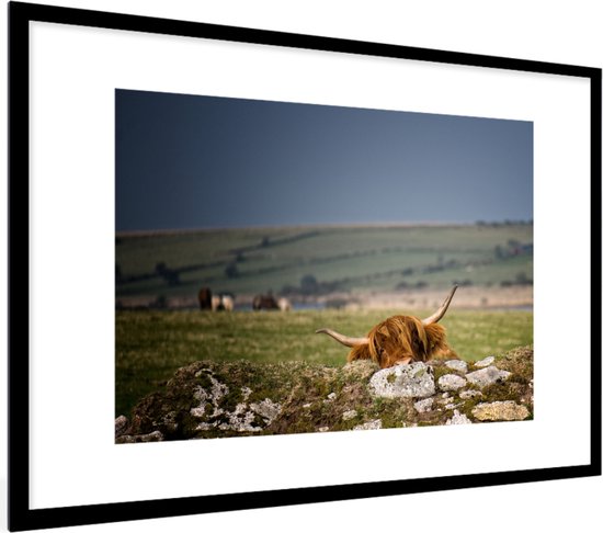 Fotolijst incl. Poster - Schotse Hooglander - Stenen - Gras - 60x40 cm - Posterlijst