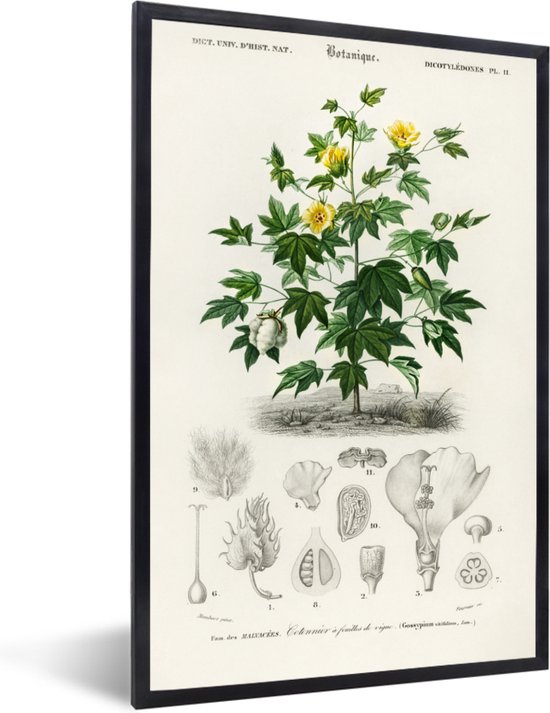 Ichendorf Milano Optische theepot, kerk en barnsteenbloesem, collectie Botanica, 120 cl, borosilicaatglas, handgemaakt
